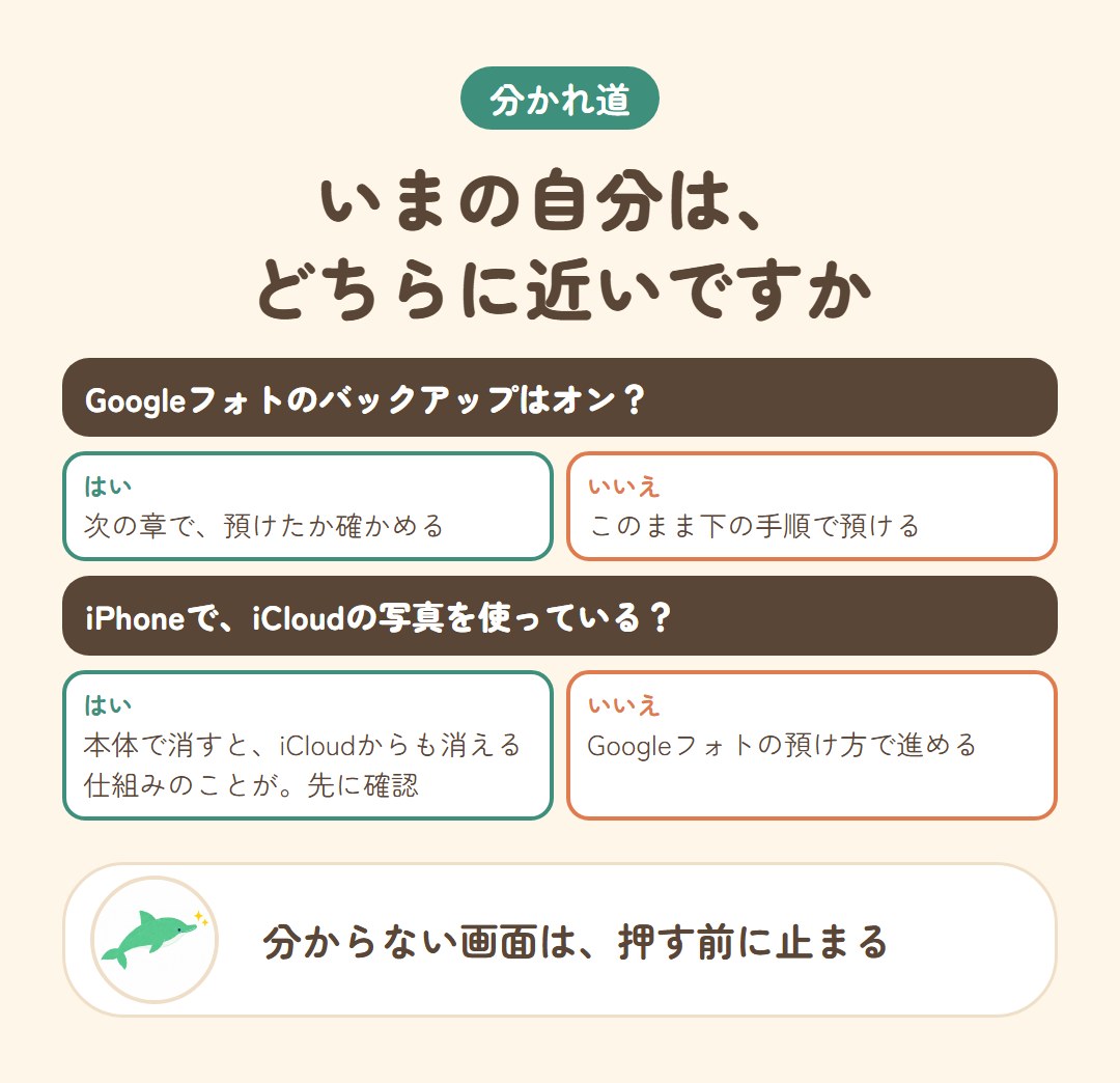 Googleフォトのバックアップとアイクラウドの使い方で分かれる分かれ道